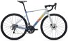 GIANT Contend SL 1 birch gray ML