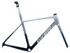 GIANT TCR Advanced SL Rahmenset polar tide L