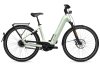 FLYER G1 Upstreet 7.23 HS EU Frosty Sage Gloss M
