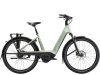 Trek Charter+ 4 N5 B 540 LS XL Lichen Green